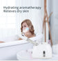 Facial Steamer Warm Mist Humidifier