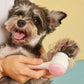 Dual-Action Paw & Coat Groomer
